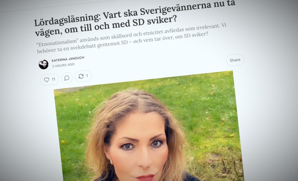 Skärmdump av Katerina Janouch blogginlägg